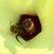 Andrea Truesdale's profile image