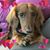 Kelly Branegan's profile image
