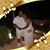 Juanita Andujar-Williams's profile image