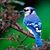 Michael McCreevor's profile image