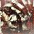 Mike Payam Aghachi's profile image