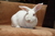 Phyllis M.'s profile image