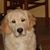 Kay Meyer's profile image