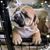 Carrie VanBuskirk's profile image