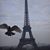 Sandra Gerke-Penny's profile image