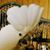 Susan Lori Ballou's profile image