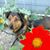 Maribeth Slebodnik's profile image