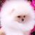 Bentley Tova's profile image