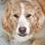 Emily Cole Pegg's profile image