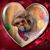 Dianne Williams Junkins's profile image