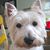 Cathy Lewis's profile image