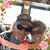Karen Mccarrell's profile image
