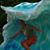 Peter Bergeson's profile image