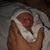 Joan Linnehan's profile image