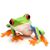 Robin Lugo's profile image
