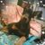 Sara Chelleen-Loehr's profile image