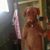 Cricket Miller's profile image