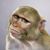 John Pelura III's profile image