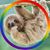 Deirdre Murphy Schlink's profile image