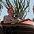 Cecily Stilley's profile image