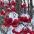 Kimberle Glidden's profile image