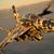 Tzetzan Bull's profile image