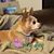 Jann Perkins's profile image