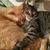 Bonnie Dee Rosborough's profile image