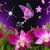 Stephanie Imtheboss Evans's profile image