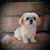 Linda Navas's profile image