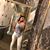 Dayanara Calderon's profile image