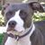 Jim Mull's profile image