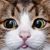 Adela Loera's profile image