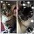 Candi Daniels's profile image