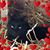 Tina Mccormack's profile image