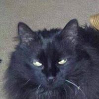 Christina Lemieux's profile image