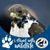 Jeannine Coupe Fortier's profile image