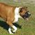 Allen D. King Jr.'s profile image