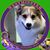 Michelle Springer Wilson's profile image