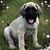 Kim Wert Dottery's profile image