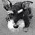 Cyndy Jones's profile image