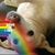 Christine Taylor Cook's profile image