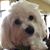 Barb Sims's profile image