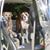 Carrie Flor Gunn's profile image