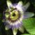 Jean Kay Morton's profile image