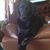 Orval Green's profile image