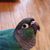 Julie Bunting Mitchell's profile image