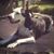 Amy Root-Smith's profile image