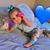 Brandy Lynn's profile image