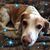 Patricia Moseley O'Leary's profile image